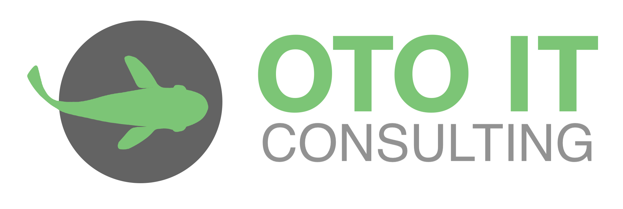 Oto IT Consulting Logo